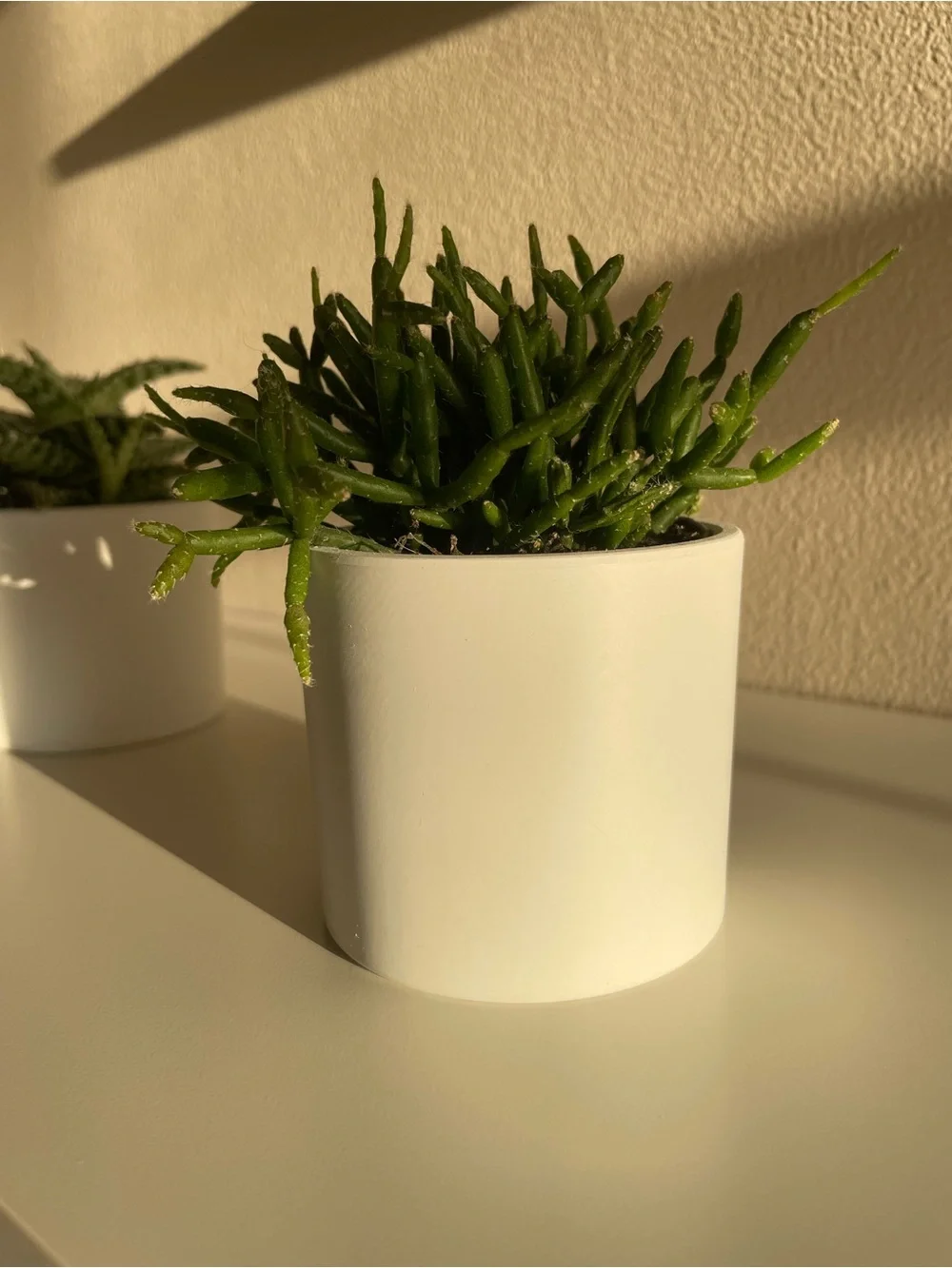 N/A stylish white